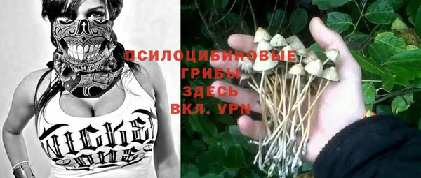 круглые Алзамай