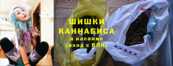 прущие грибы Абдулино